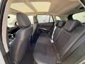 Suzuki S-Cross 1,4 Hybrid ALLGRIP flash Weiß - thumbnail 14