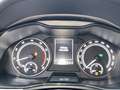 Skoda Kamiq 1.5 TSI DSG Tour AHK+SmartLink+Stzhzg Bleu - thumbnail 19