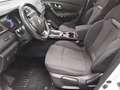 Renault Kadjar 1.5 BLUE dCi Business Ed. AHK PDC Tempo Weiß - thumbnail 9