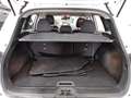 Renault Kadjar 1.5 BLUE dCi Business Ed. AHK PDC Tempo Weiß - thumbnail 13