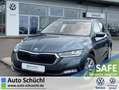 Skoda Octavia Combi 2.0 TDI DSG Style AHK+17"+NAVI-COL Grau - thumbnail 1