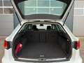 SEAT Leon ST FR 2.0TDI 184PS,LED,Alcantara,Sitzhz Weiß - thumbnail 10