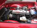 Triumph TR6 Rot - thumbnail 8