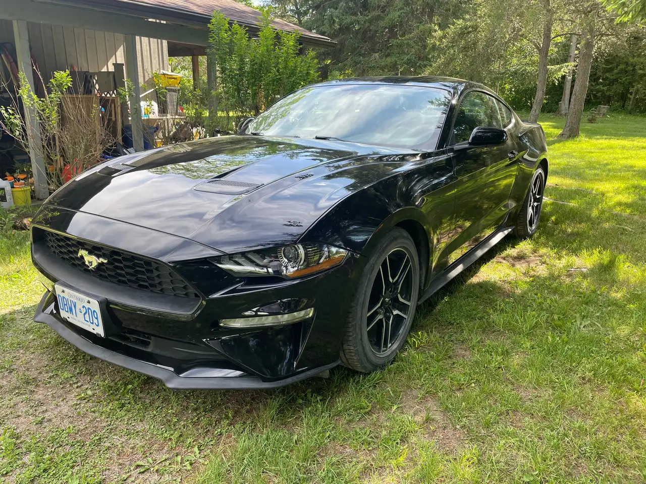 2020 Ford Mustang