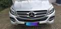 Mercedes-Benz GLE 250 GLE 250d 4Matic Exclusive Plus Argent - thumbnail 4