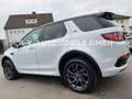 Land Rover Discovery Sport SE AWD*KAMERA*TEMPO*NAVI* Weiß - thumbnail 9