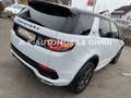 Land Rover Discovery Sport SE AWD*KAMERA*TEMPO*NAVI* Weiß - thumbnail 12