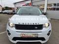 Land Rover Discovery Sport SE AWD*KAMERA*TEMPO*NAVI* Weiß - thumbnail 4