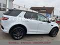 Land Rover Discovery Sport SE AWD*KAMERA*TEMPO*NAVI* Weiß - thumbnail 30