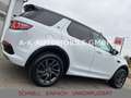 Land Rover Discovery Sport SE AWD*KAMERA*TEMPO*NAVI* Weiß - thumbnail 11