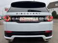 Land Rover Discovery Sport SE AWD*KAMERA*TEMPO*NAVI* Weiß - thumbnail 10