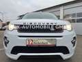 Land Rover Discovery Sport SE AWD*KAMERA*TEMPO*NAVI* Weiß - thumbnail 2