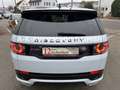 Land Rover Discovery Sport SE AWD*KAMERA*TEMPO*NAVI* Weiß - thumbnail 32