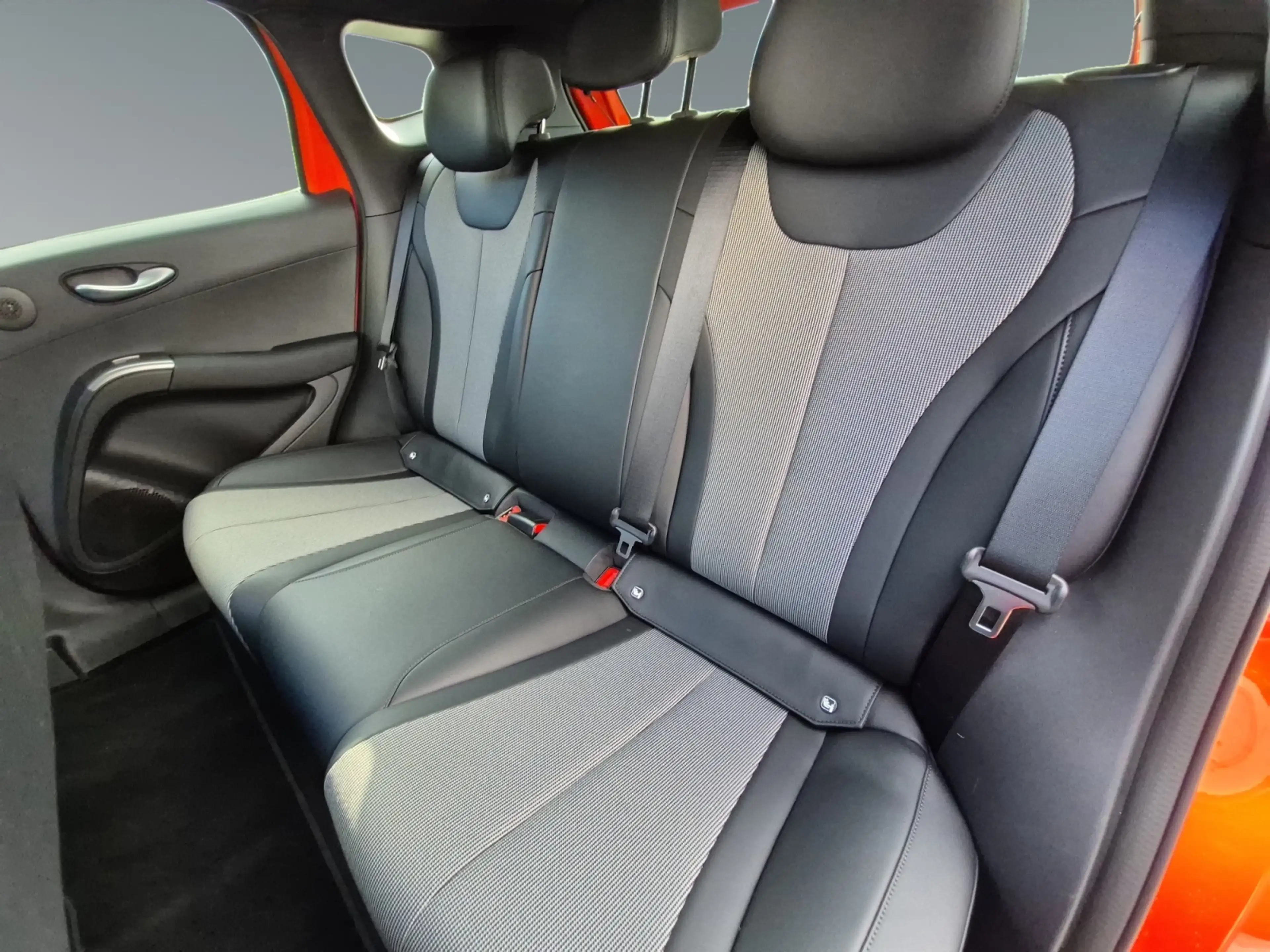 BYD Dolphin G DM-i Comfort — photo 13