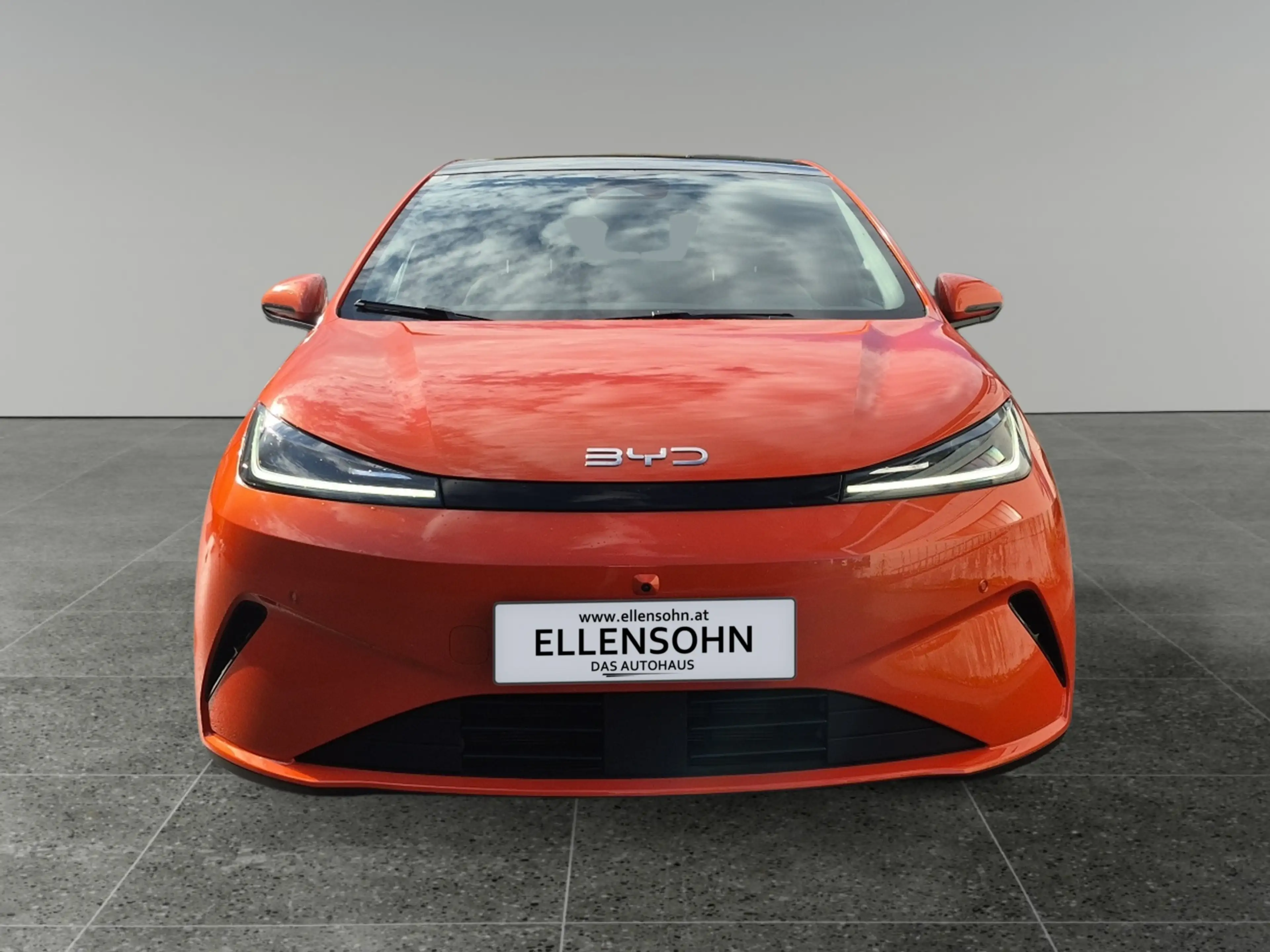 BYD Dolphin G DM-i Comfort — photo 8