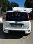 Fiat Panda 1.0 FireFly S&S Hybrid Sport Wit - thumbnail 13