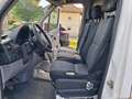 Volkswagen Crafter 35 HR-Kasten LR TDI Weiß - thumbnail 4