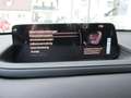 Mazda CX-30 e-Skyactive G140 Exclusive-Line Aut. Blau - thumbnail 19