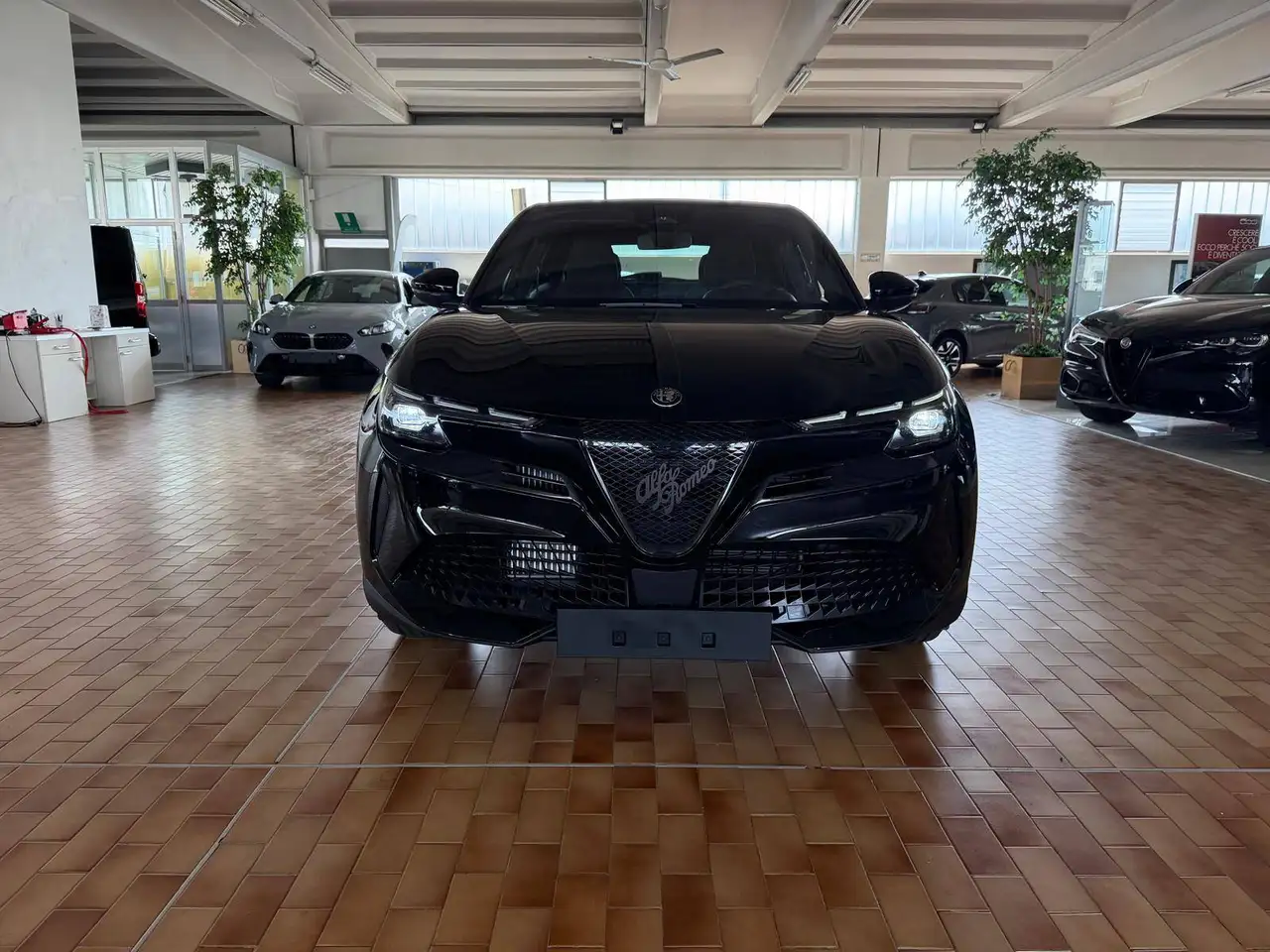 Alfa Romeo Junior 2026