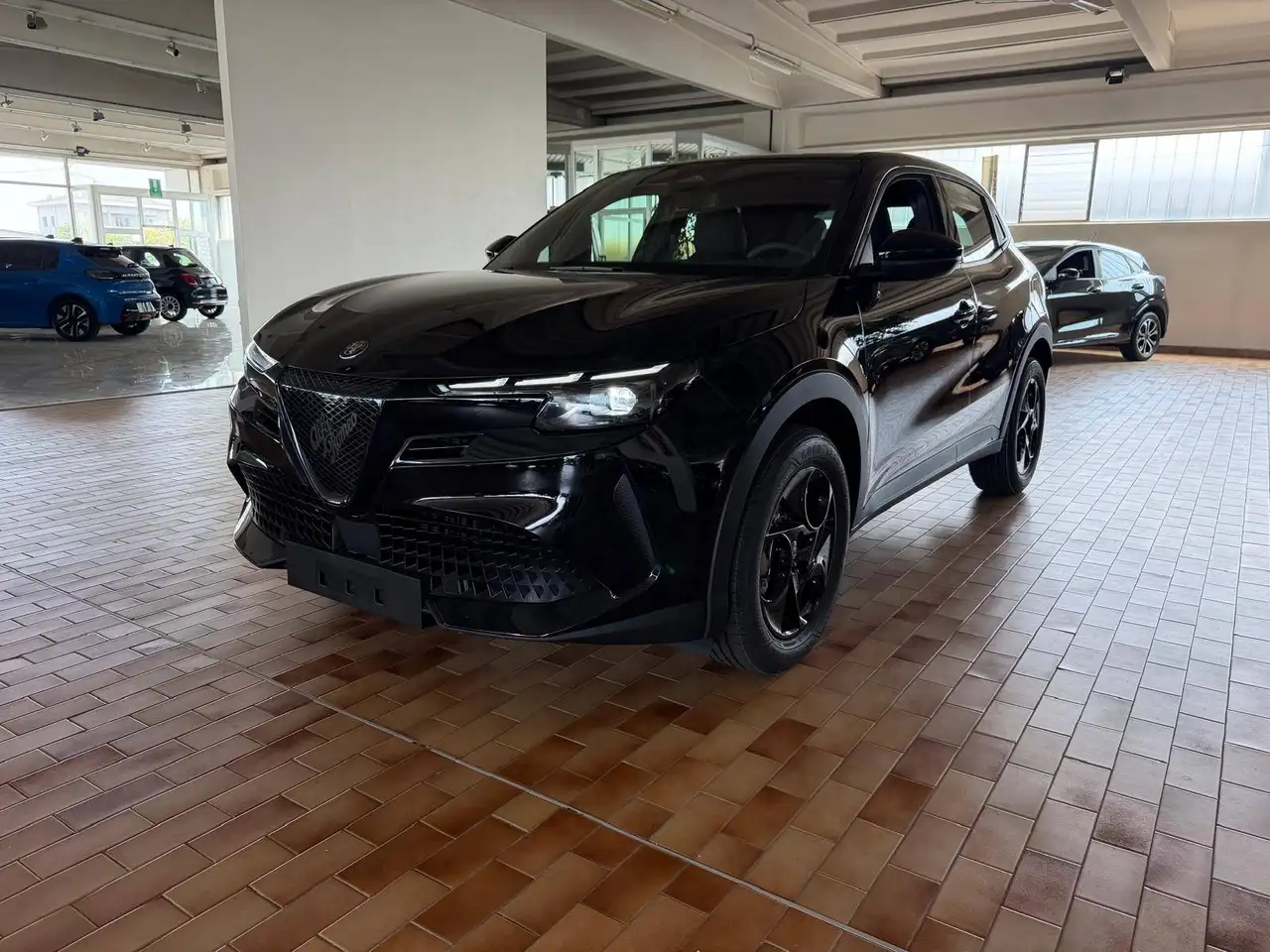 Alfa Romeo Junior 2026