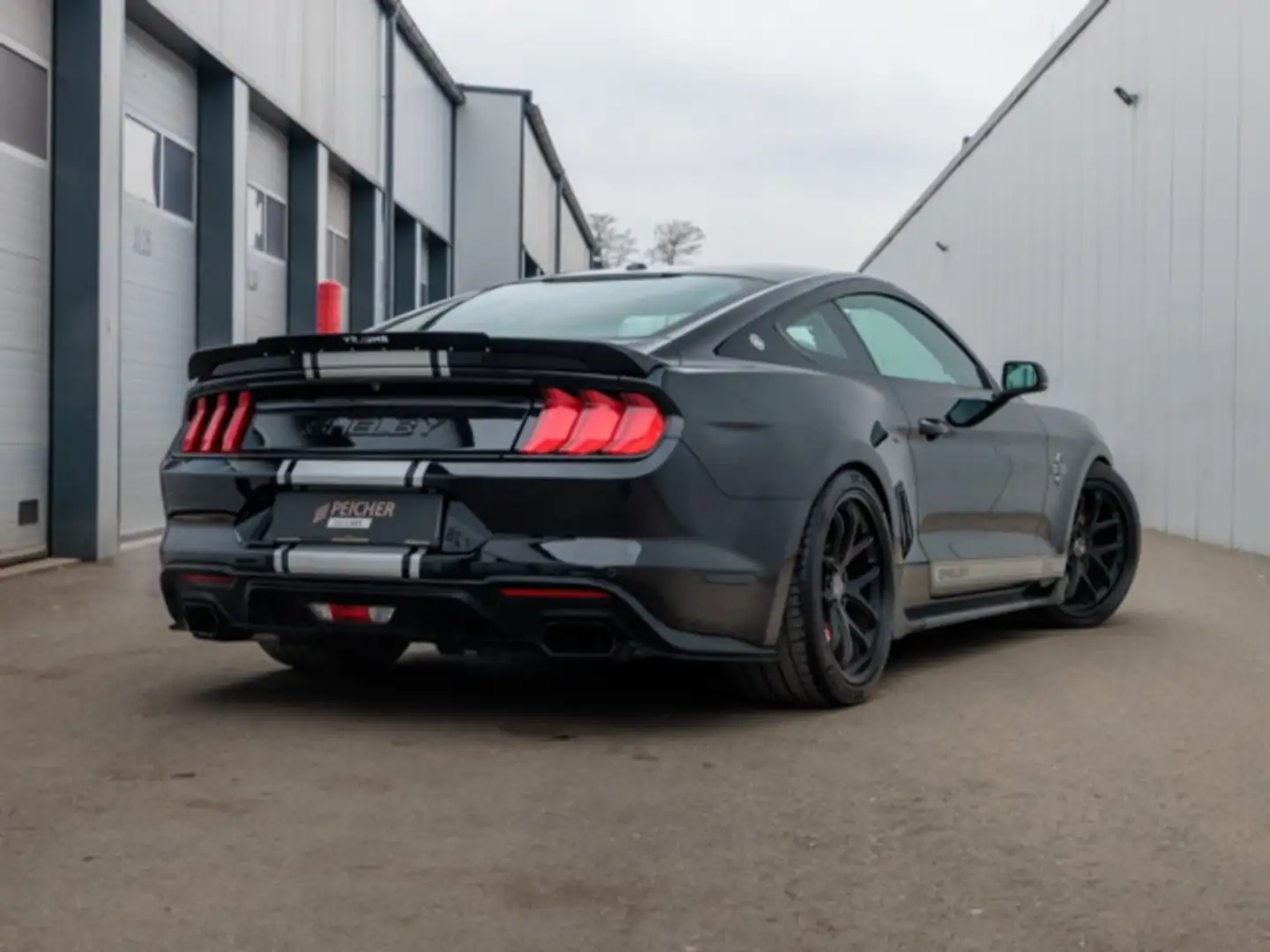 Shelby Mustang Super Snake Mustang Supersnake Fastback - 2