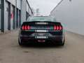 Shelby Mustang Super Snake Mustang Supersnake Fastback - thumbnail 9