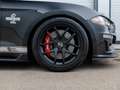Shelby Mustang Super Snake Mustang Supersnake Fastback - thumbnail 25
