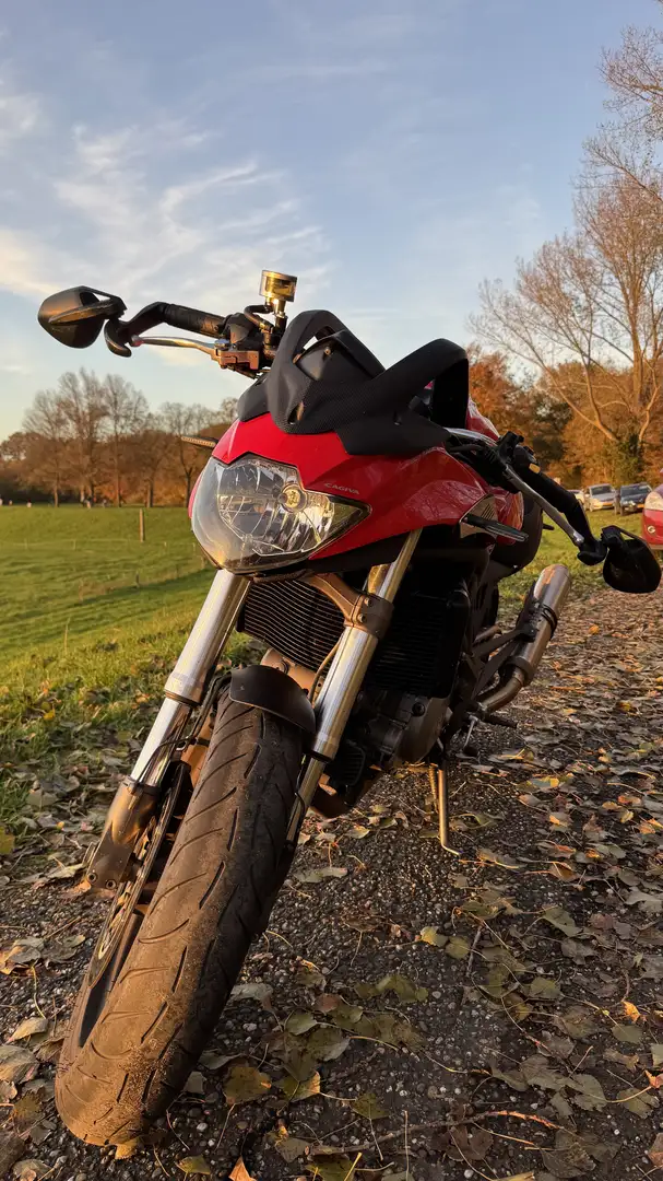 Cagiva V Raptor 1000 Rot - 2