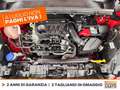 Ford Puma 1.0 ecoboost h titanium s&s 125cv Rosso - thumbnail 12