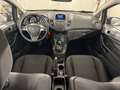Ford Fiesta Fiesta Plus 1.4 3 porte Bz.- GPL Bleu - thumbnail 8