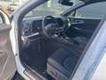Kia Sportage 1.6T 48V 2WD DCT GT-LINE STD Weiß - thumbnail 11