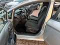 Ford Fiesta 5p 1.2 Business 60cv Argento - thumbnail 7