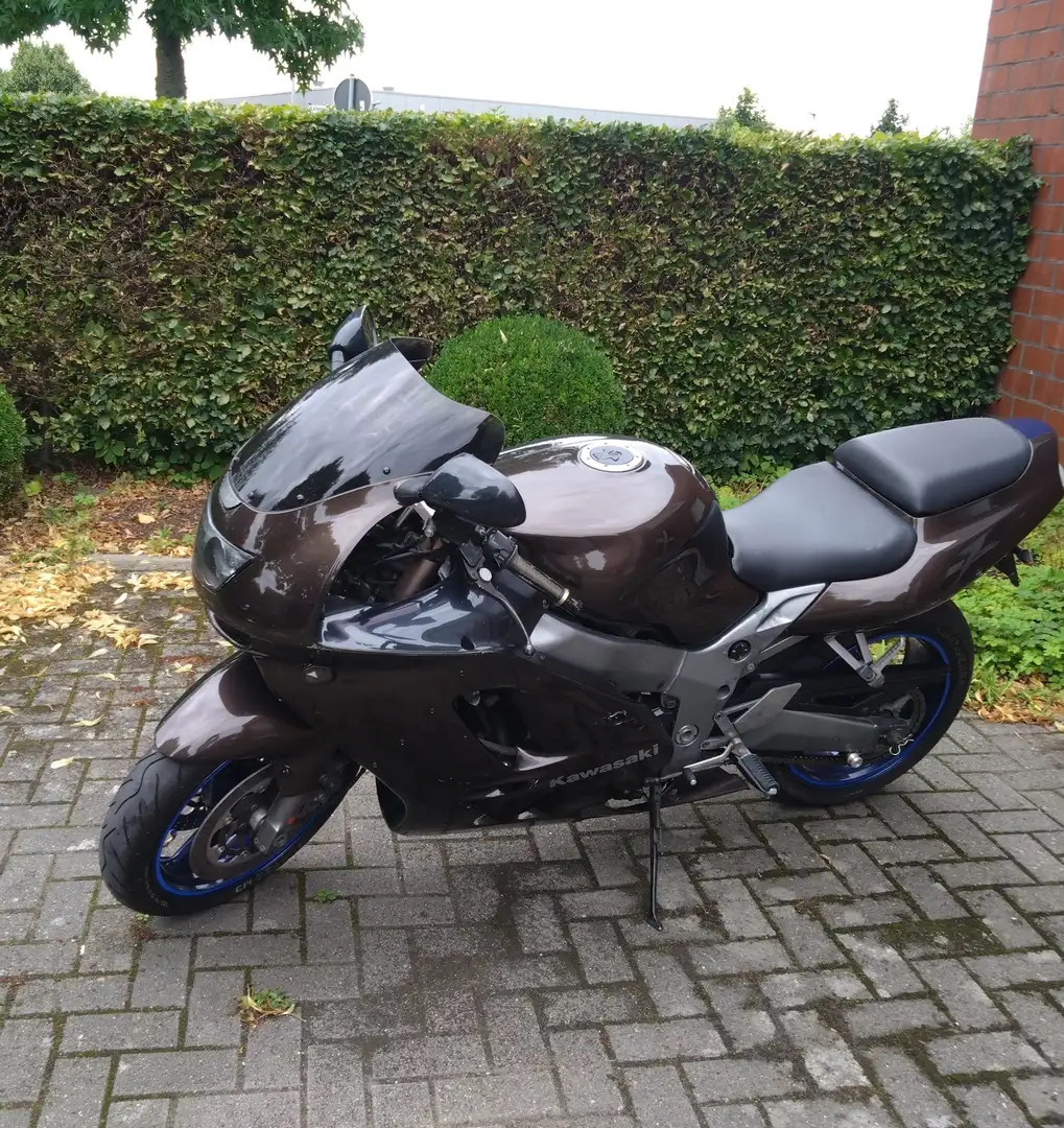 Kawasaki Ninja ZX-9R Marrón - 1