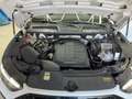 Audi Q5 Sportback 40 TDI quattro S-Line *Matrix*Pano*B&O* Weiß - thumbnail 13