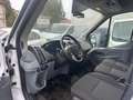 Ford Transit 350 L3 Trend.Doppelklima Weiß - thumbnail 30