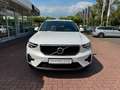 Volvo XC40 B3 Benzin Core Automatik Wit - thumbnail 2