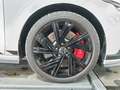 Volkswagen Golf GTI Clubsport 2.0 TSI DSG 18 ACC LED+ NAVI Weiß - thumbnail 8