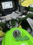 Kawasaki Ninja 650 KRT Edition Verde - thumbnail 13