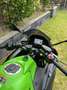 Kawasaki Ninja 650 KRT Edition Verde - thumbnail 9
