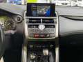 Lexus NX 300 300h Business Navigation 2WD Blanco - thumbnail 11