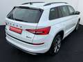 Skoda Kodiaq Sportline 2.0 TDI DSG Weiß - thumbnail 8