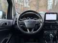 Ford EcoSport Titanium X"AUTO"B&O"WP"TOTWINKEL" Gris - thumbnail 13