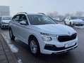 Skoda Kamiq 1.5 TSI DSG Selection SMART-LINK+ACC+LANE- Weiß - thumbnail 6