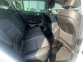 Kia Sportage 1.6 CRDi 136cv Energy 2WD DCT7 Bianco - thumbnail 14