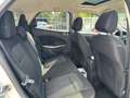 Ford EcoSport 1.5 Ti-VCT Trend PS Weiß - thumbnail 6