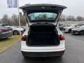Volkswagen Tiguan 2.0 TDI BMT AT Comfortline AHK NAVI LKA Weiß - thumbnail 5