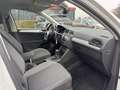 Volkswagen Tiguan 2.0 TDI BMT AT Comfortline AHK NAVI LKA Weiß - thumbnail 11