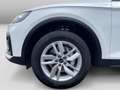 Audi Q5 50TFSIe quattro S-trc S-line Navi Virtual CAM Weiß - thumbnail 5