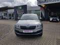 Skoda Karoq 1.0 TSI Ambition NAVI+TEMPOMAT+PDC 8x+SHZ+ALU+NSW Grau - thumbnail 8