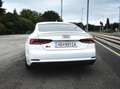 Audi S5 S5 SB 3,0 TFSI quattro S-tronic Weiß - thumbnail 5